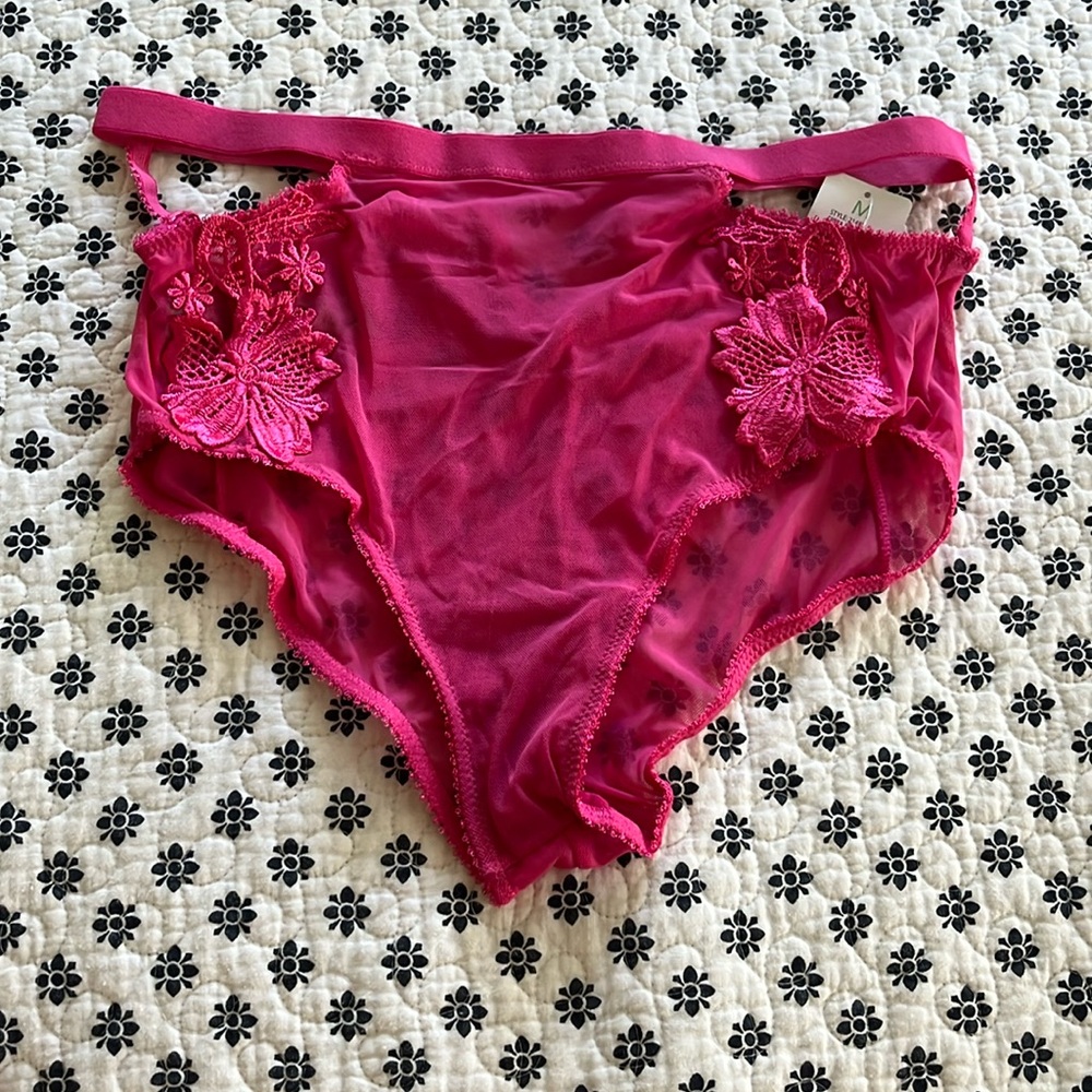 NWT Honeydew Intimates Erica Hipster Size Md